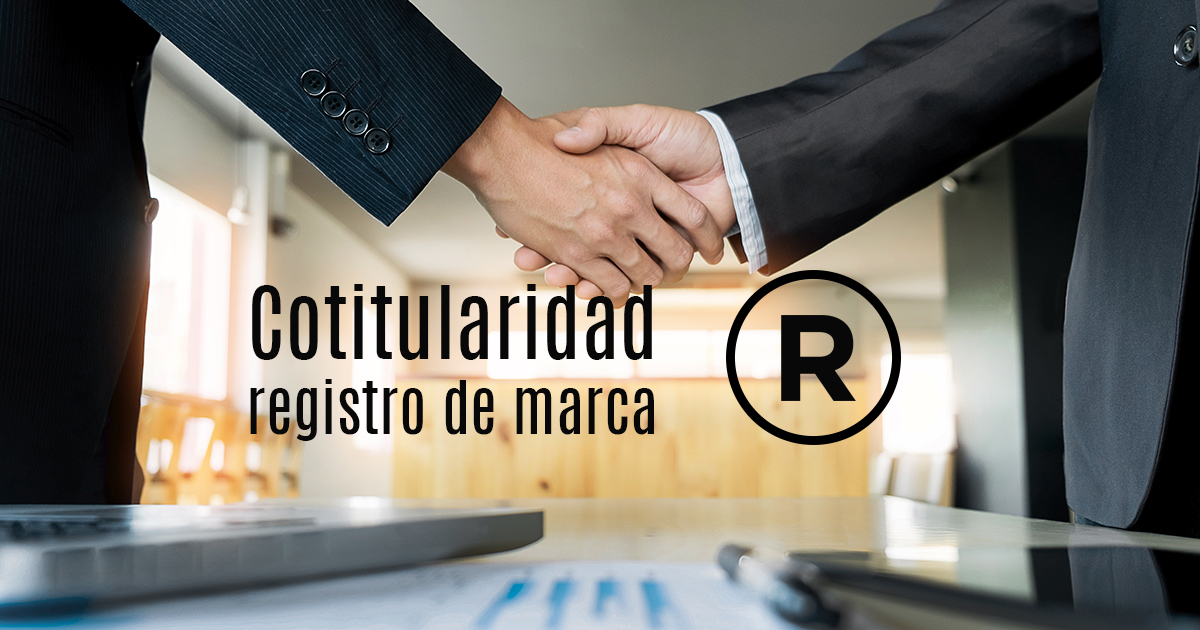 Qué es la cotitularidad en el registro de una marca?